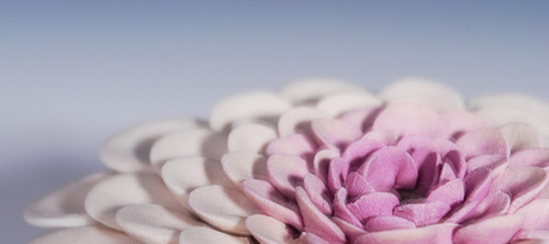  Lotus fiore Vase Ceramic porcellana, in porcellana Handmade