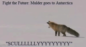 Mulder goes to Antarctica