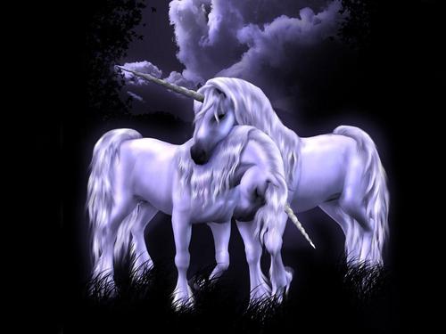  Pegasus & Unicorn