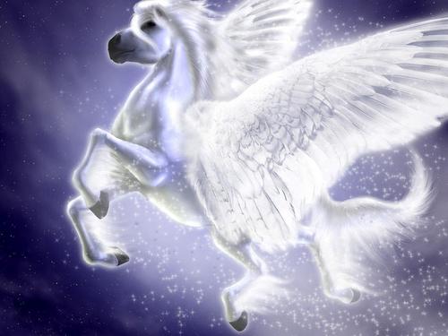  Pegasus & Unicorn