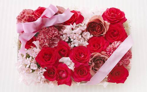  Romantic rosas