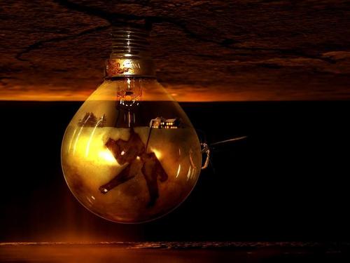  The World in Bulb