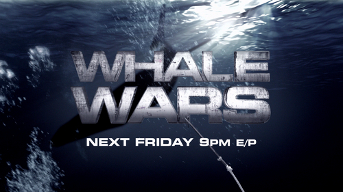  walvis Wars