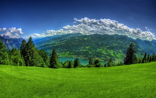 grassy field; distant mountains
