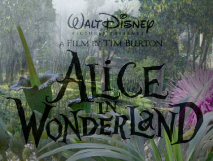  Alice In Wonderland Logo