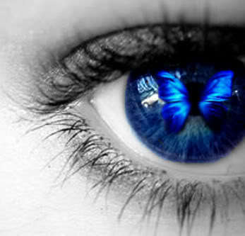  vlinder Eye