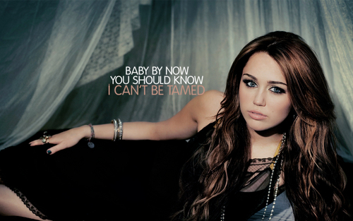  Miley Cyrus 壁纸 !