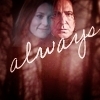  Snape & Lily