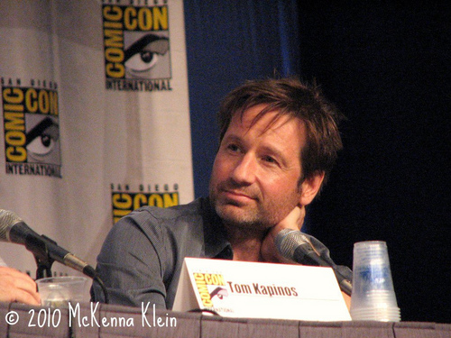  22/07/2010 - DD at Comic-Con Panel