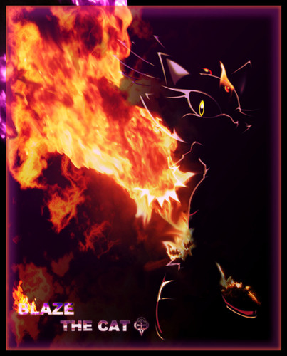 Blaze the fire cat