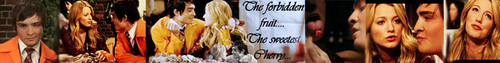  Chuck and Serena banner (my first!)