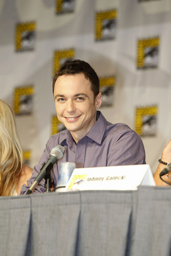  Comic Con Panel 2010