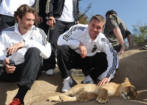  German team visiting in a lion park in South Africa