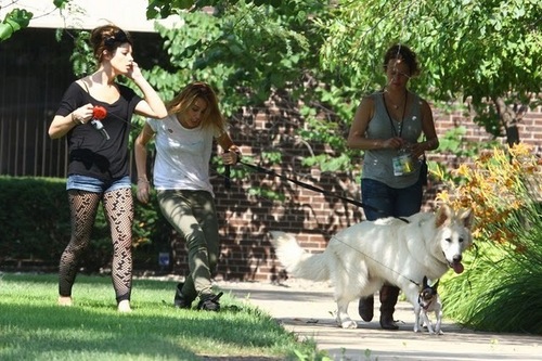  Miley Cirus and Ashley Greene walking their 狗