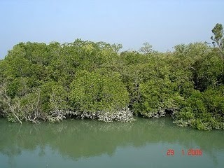  Nature of barishal, Bangladés