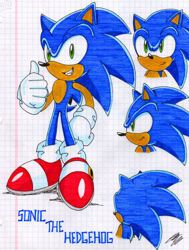 Sonic The Hedgehog-