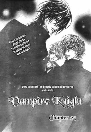  Vampire Knight
