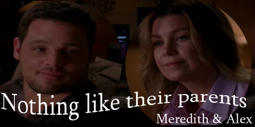 alex and meredith