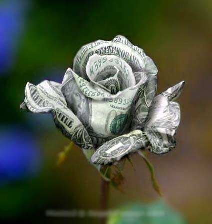  dollar rose