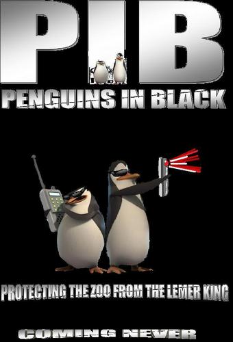 penguins in black