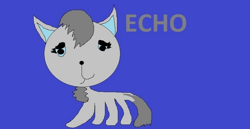  Echo real cat.