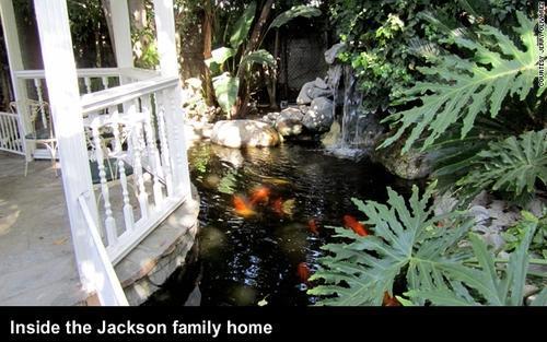  Inside the Jackson family início