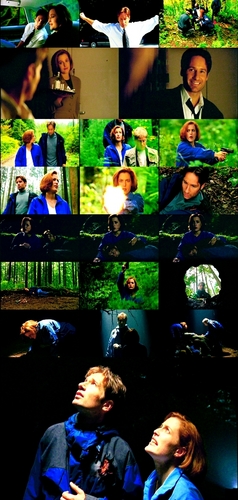  Mulder/Scully Picspam