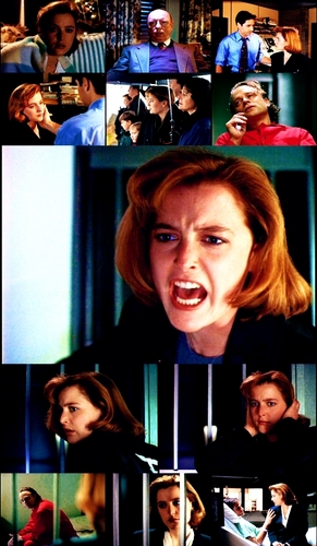  Mulder/Scully Picspam