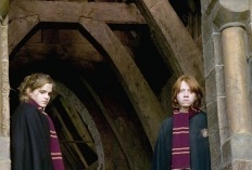  Ramione - Harry Potter & The Goblet Of api, kebakaran - Promotional foto-foto