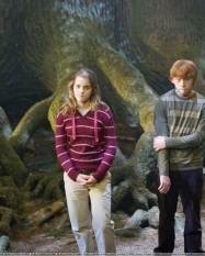  Romione（ロン＆ハーマイオニー） - Harry Potter & The Order Of The Phoenix - Behind The Scenes & On The Set
