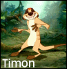  Timon