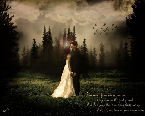  ~Bella & Edward wedding~