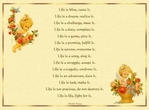  LIFE IS...