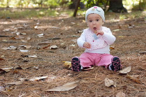  baby Nessie in the woods