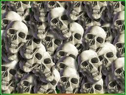  skulls