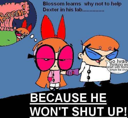  Blossom's life lessons number one re drawn and recolored