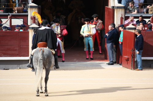  stier, bull Fighting In Ventas
