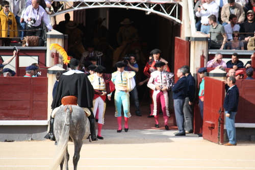  ng'ombe Fighting In Ventas