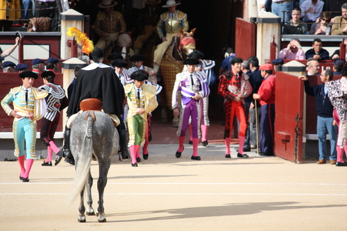  touro Fighting In Ventas