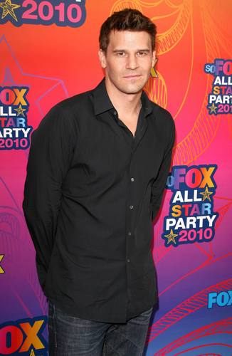  vos, fox Summer TCA All ster Party