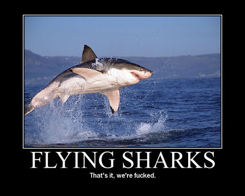 Happy Shark Week! 