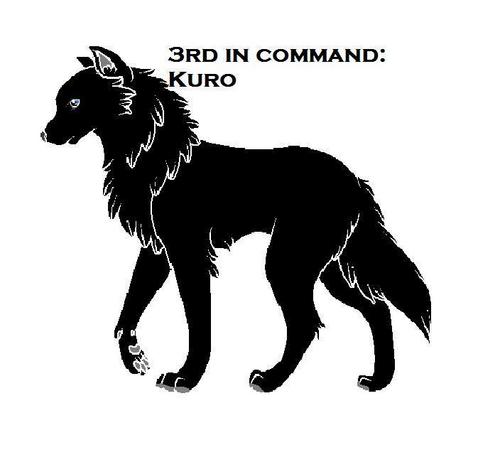  3rd in comand: kuro