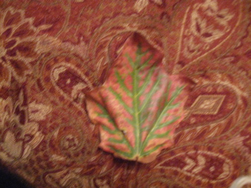  Bananaboo's leaf LOL