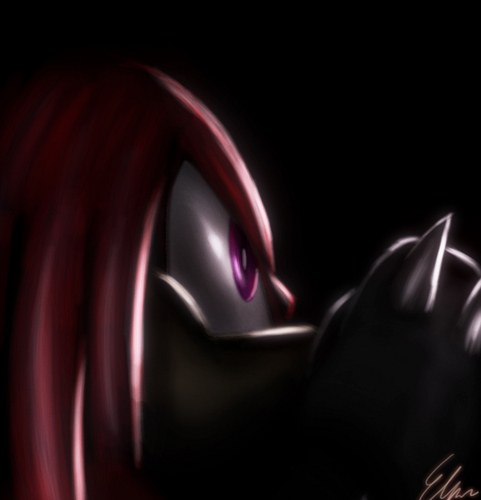  Knuckles the echidna