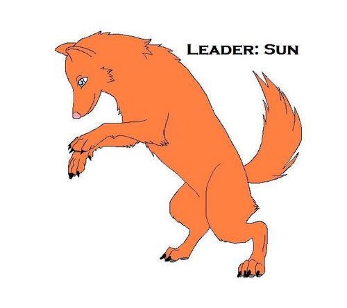  Leader: Sun