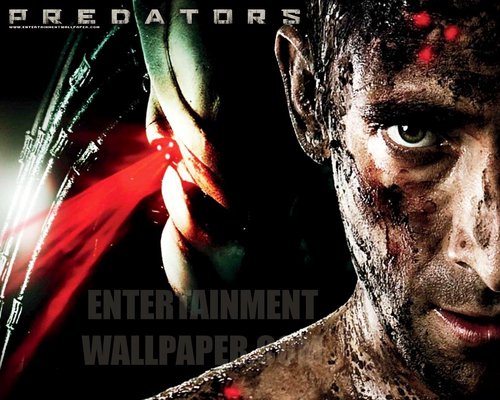  Predators / Official kertas dinding