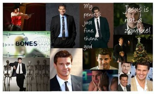  Special Agent Seeley Booth...SPECIAL