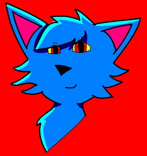  a blue cat pictutre 2