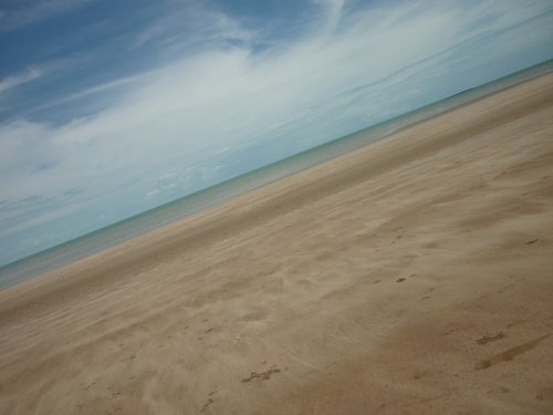  Darwin de praia, praia