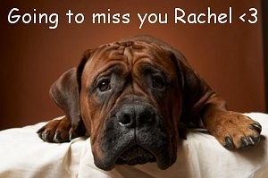  Going to miss toi Rachel <3